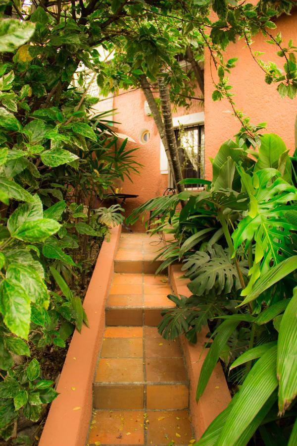 Raiz Hostel Medellin Ngoại thất bức ảnh